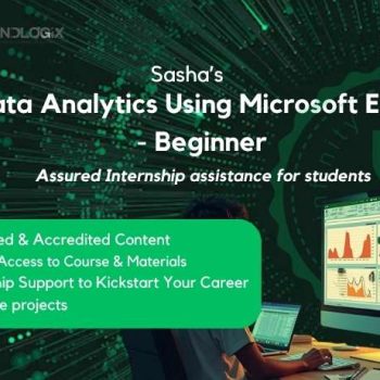 Data analytics using MS-Excel-Beginner